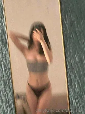 Abicita.a