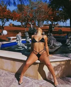 abelladanger