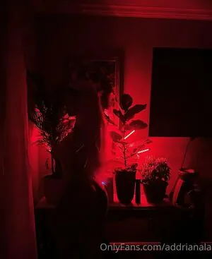 addrianala