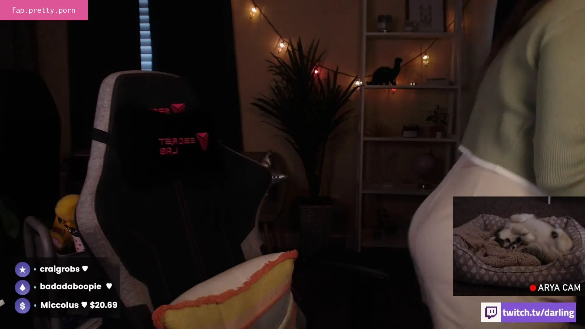 ASMR Darling - Photo #32