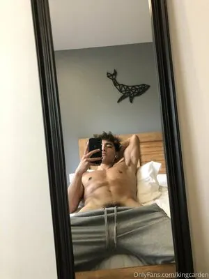 aedanvip