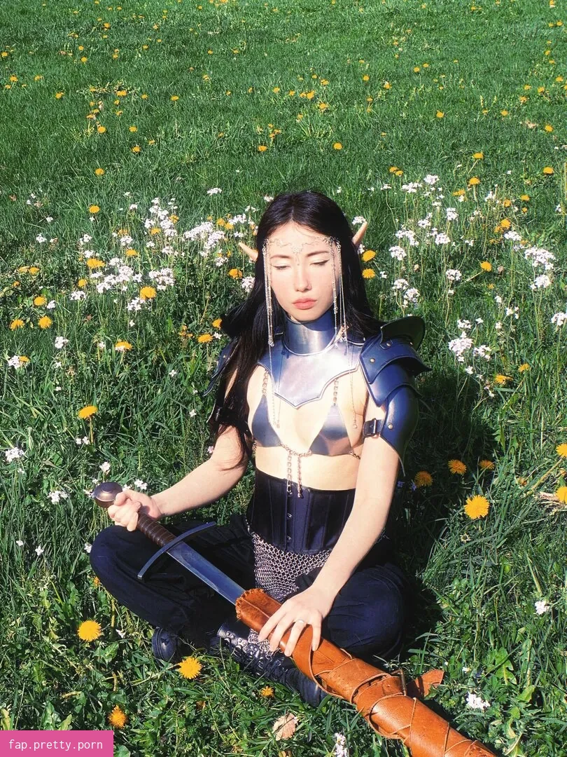 Armoured Elf - Photo #33