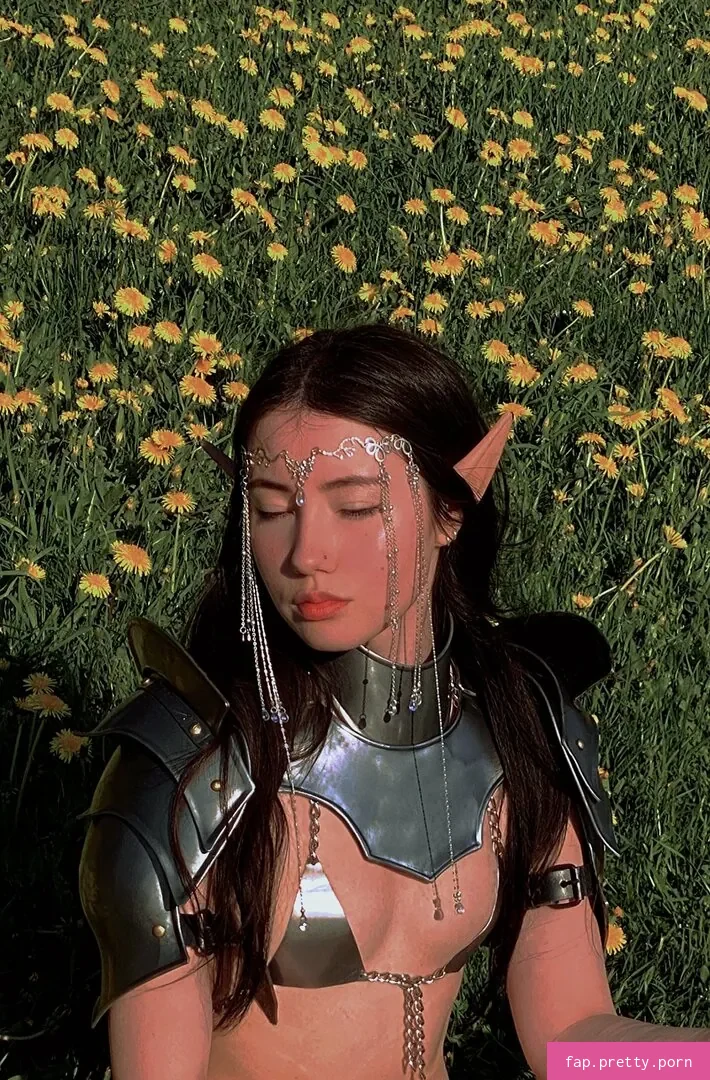 Armoured Elf - Photo #55