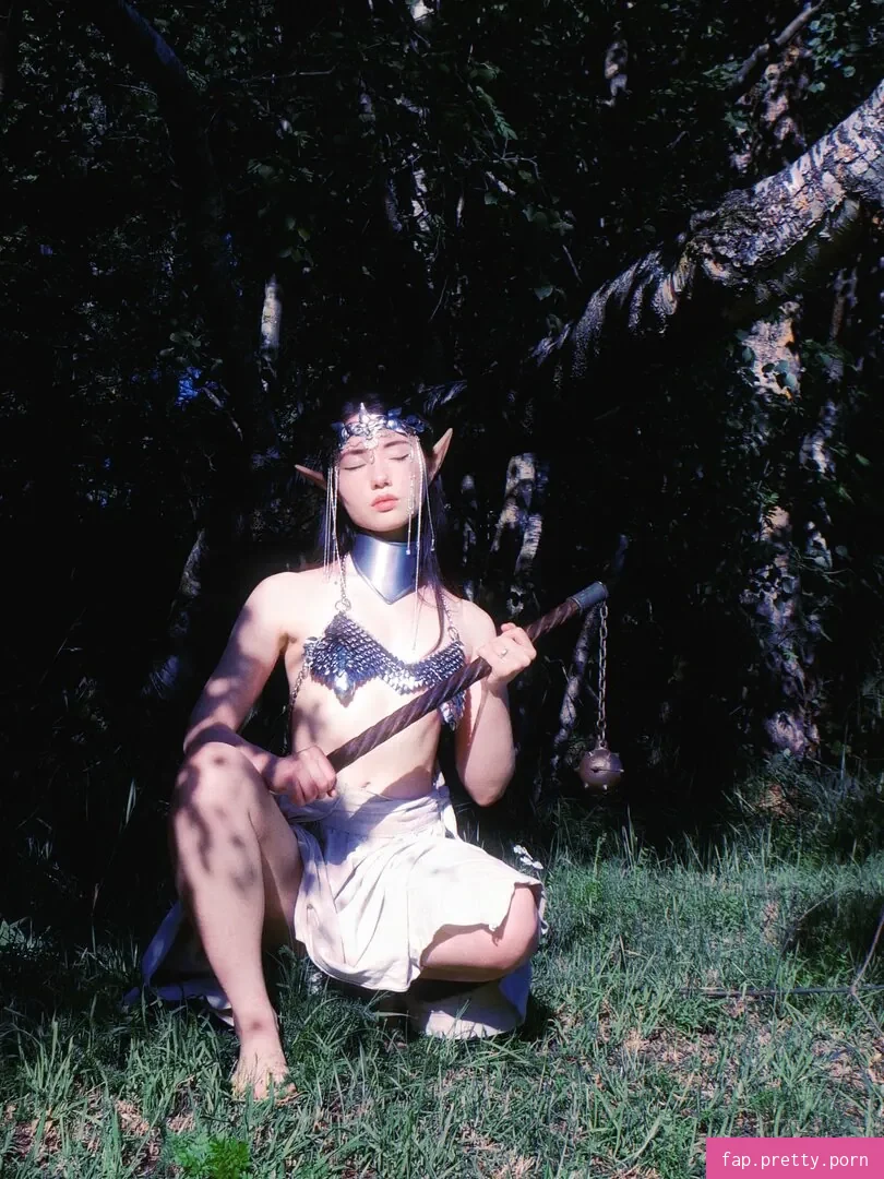Armoured Elf - Photo #57