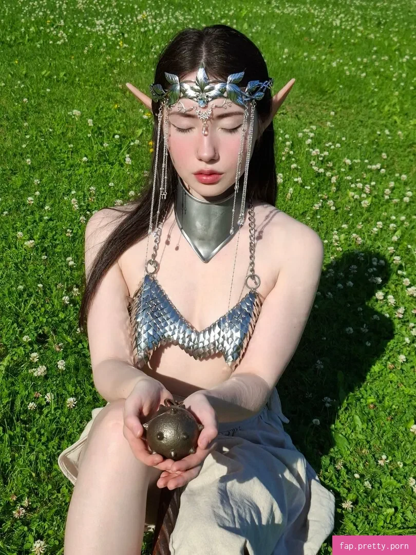 Armoured Elf - Photo #59