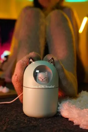 ASMR HoneyGirl