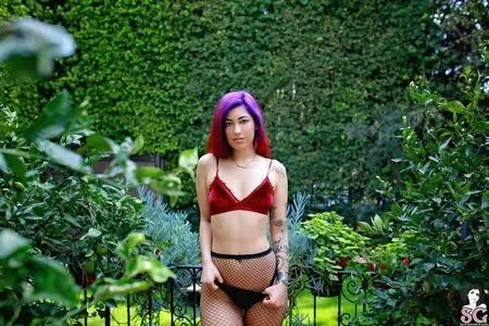 Ashlee Juliet