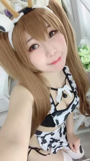 Akicoser