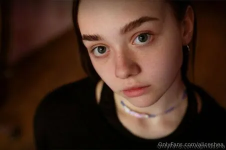aliceshea