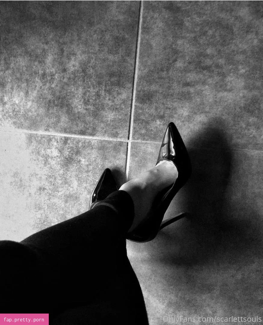 alicezubrowzsnia - Photo #05