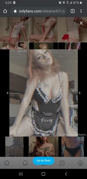 Alleykat421