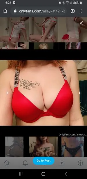 Alleykat421