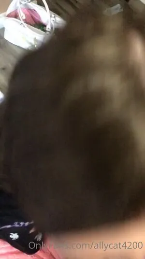 allycat4200