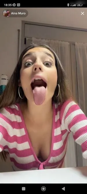 Aina Muro