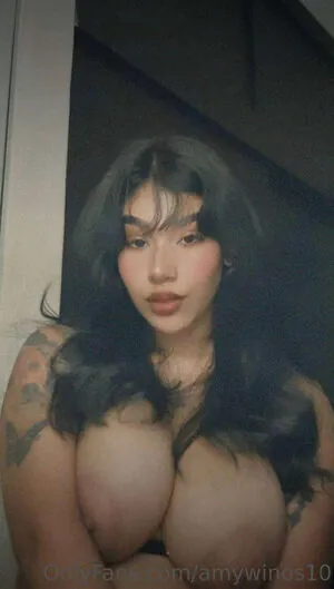 amywinos10