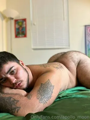 apollo_moon