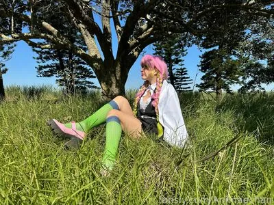 Animaechan
