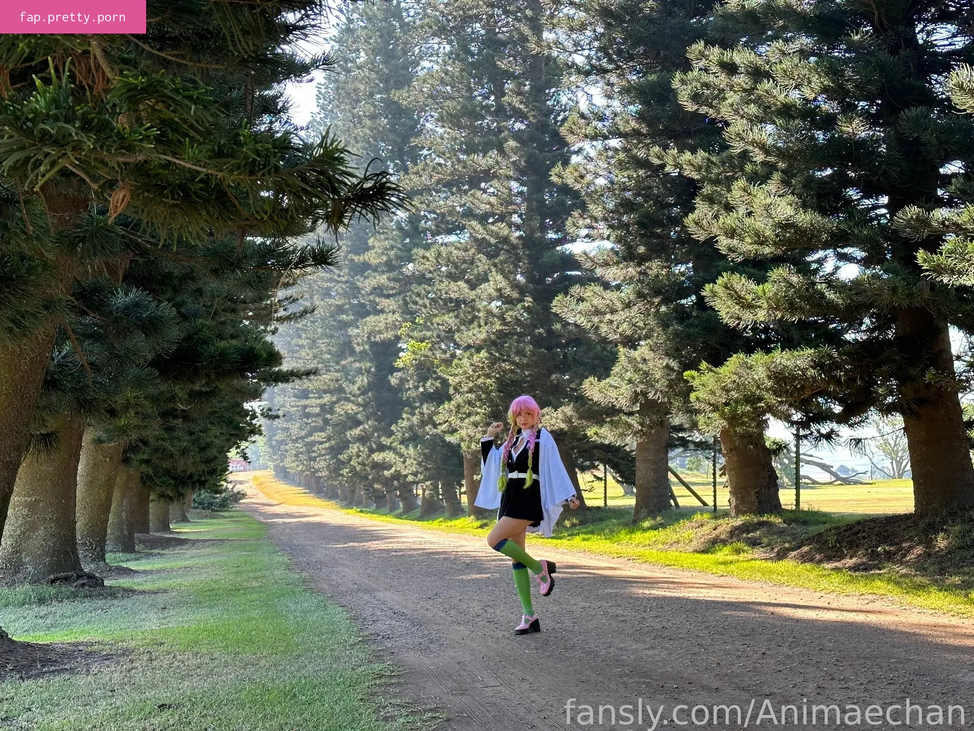 Animaechan - Photo #70