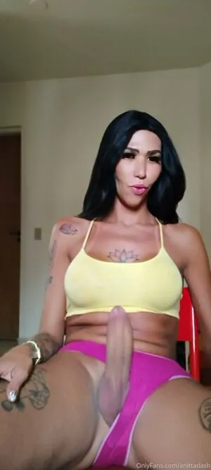 anittadash