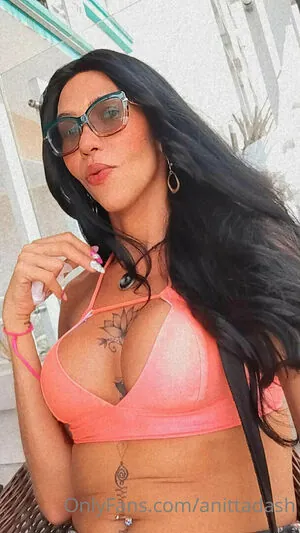 anittadash