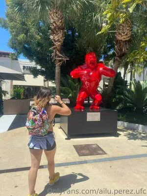 ailu.perez.ufc