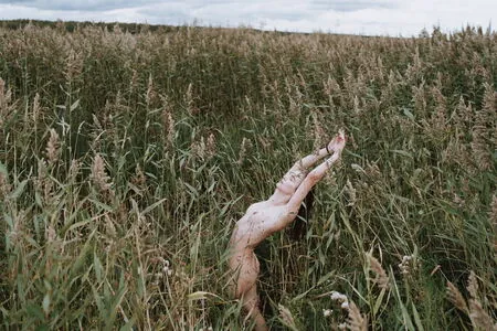 Alexey Pavlov Photographer