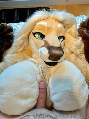angel_pups