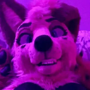 angel_pups