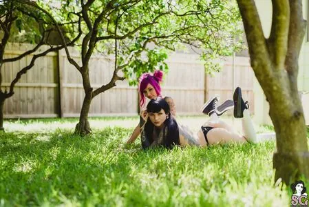 arachnie