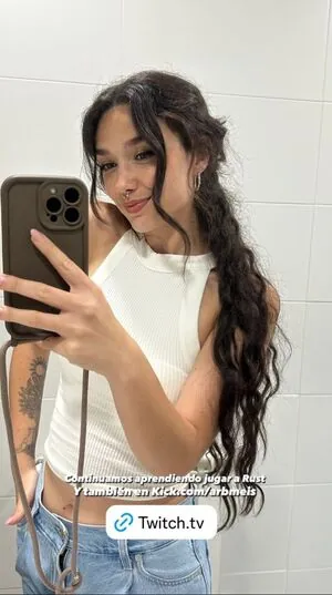 Arbmeis