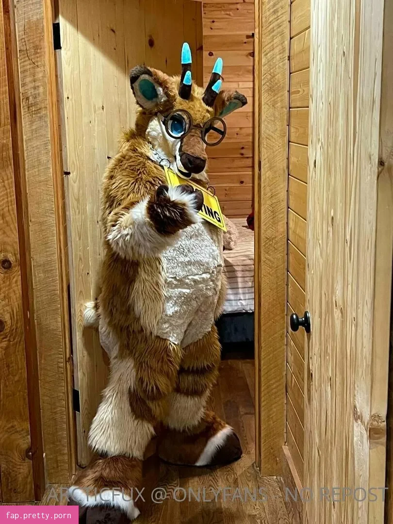arcticfux - Photo #19