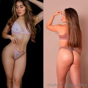 arianabird