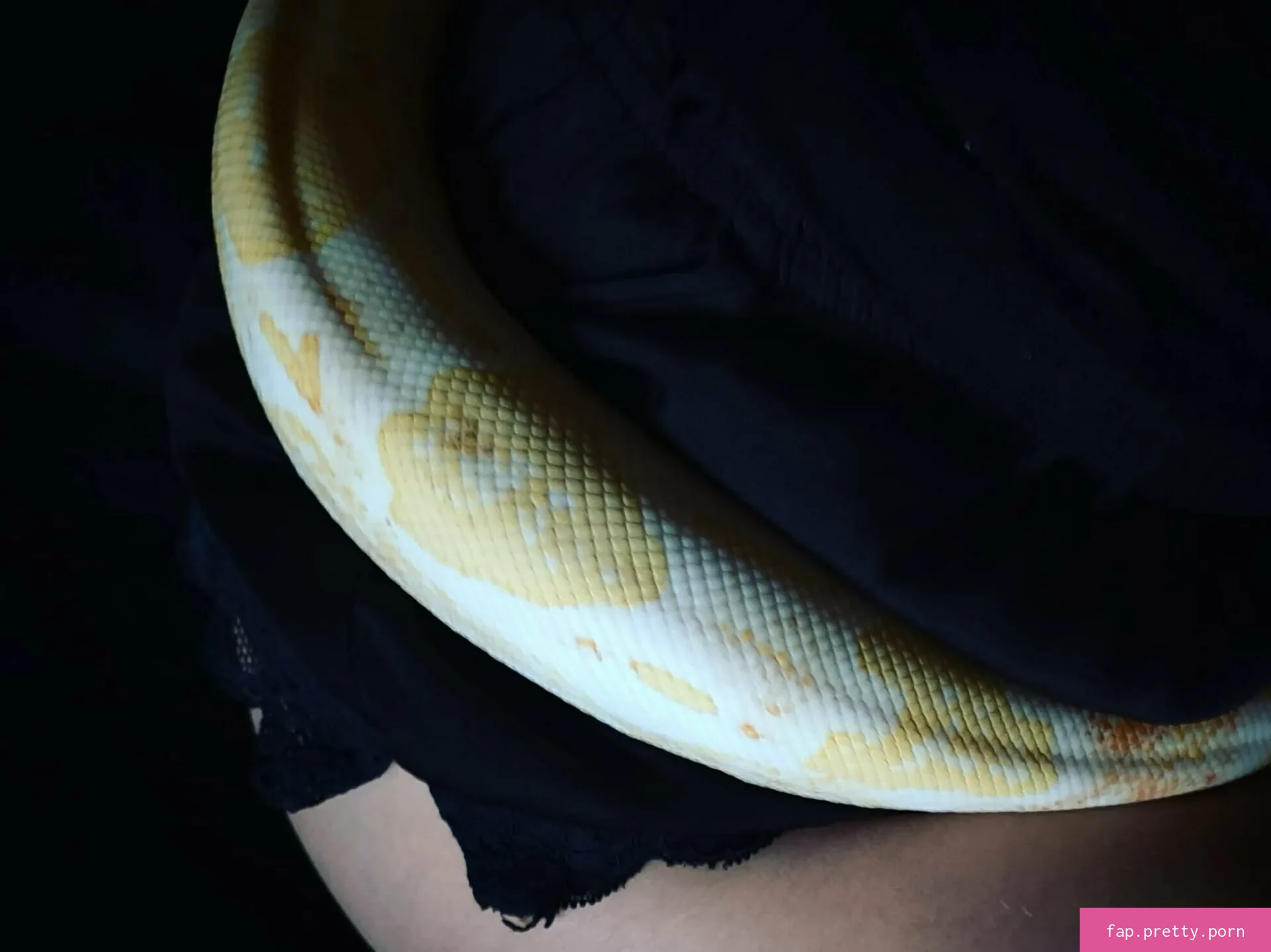 artnvenom - Photo #84