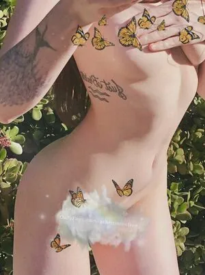 ashemareefree