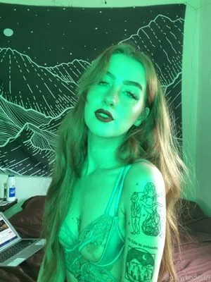 athenaaster
