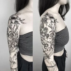 Ayliner