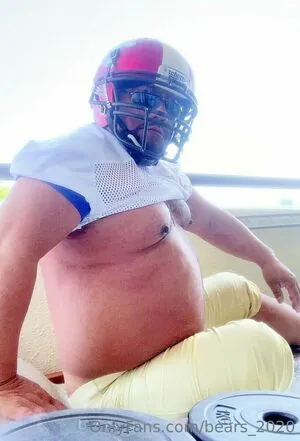 bears_2020