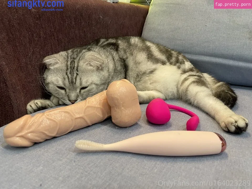 bella_420tw - Photo #53