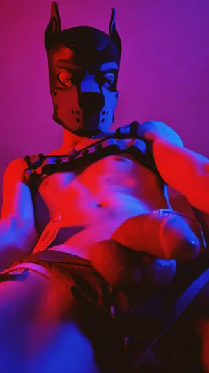 badboxerboy
