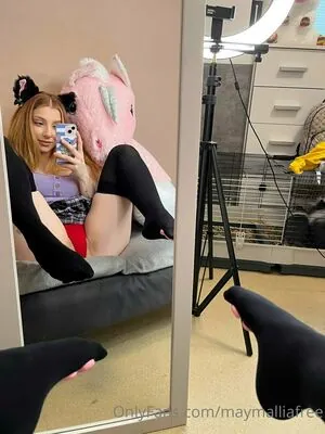 baileyswitchfree