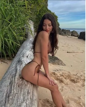bambi_cherry