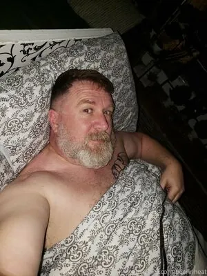 bearinheat