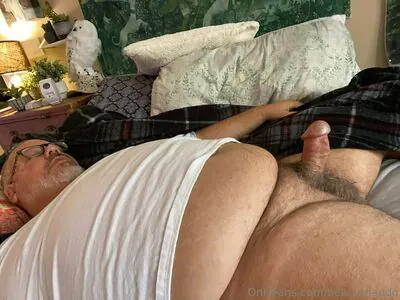 bearsorlando