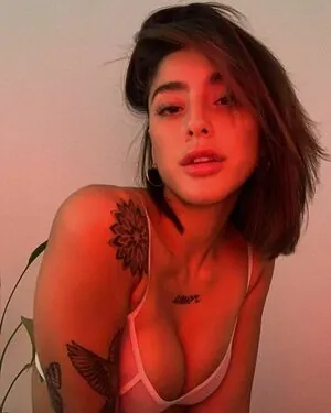 Belenegri