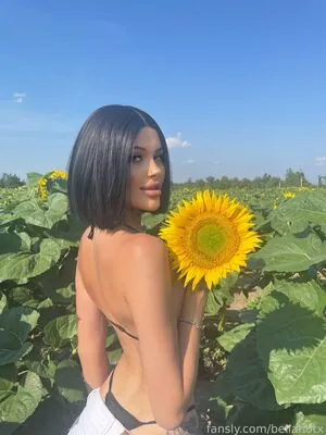 bellahotx