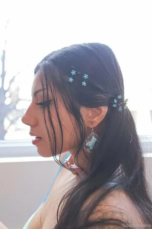bengalivixen