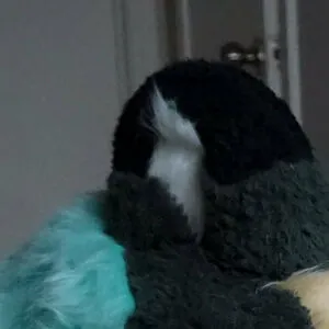 bigtittytusky
