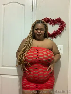 bimbosim22