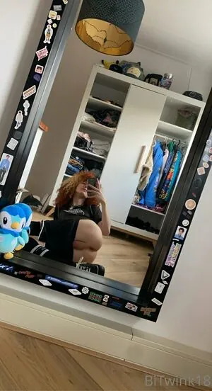 bitwink18