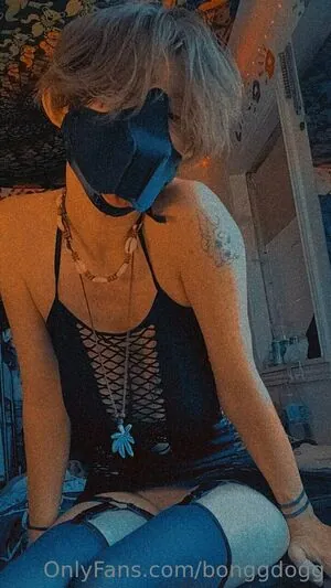 Bonggdogg
